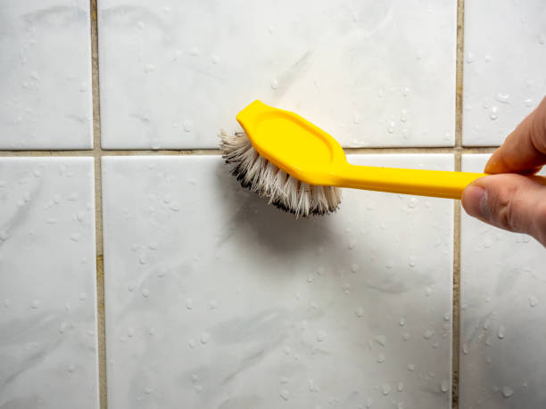 Best Commercial Mold Removal  in Kirkwood, MO
