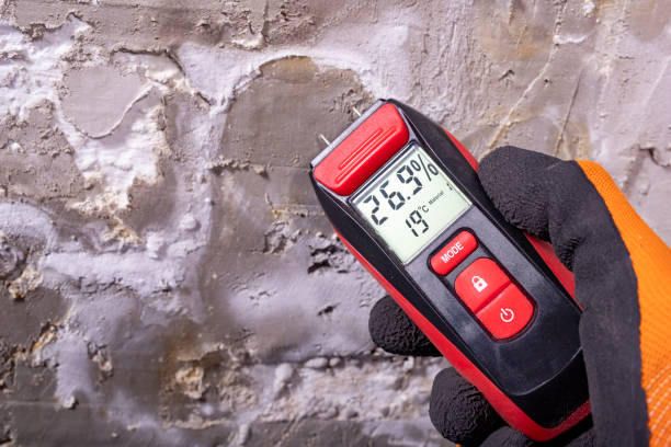 Best Crawl Space Mold Removal  in Kirkwood, MO