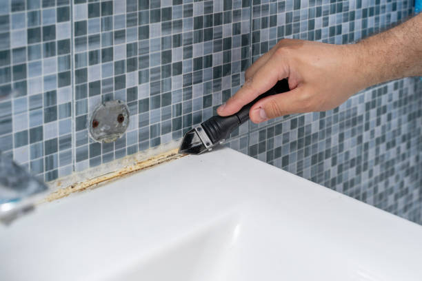 Best Mold Cleaning Services  in Kirkwood, MO